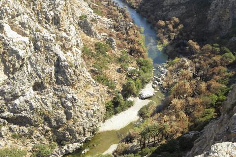 Φοινικόδασος Πρέβελης (Palm beach of Preveli)