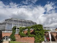 Botanischer Garten und Botanisches Museum Berlin (BO Berlin)