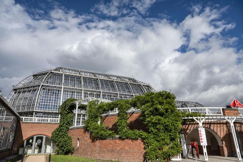 Botanischer Garten und Botanisches Museum Berlin (BO Berlin)