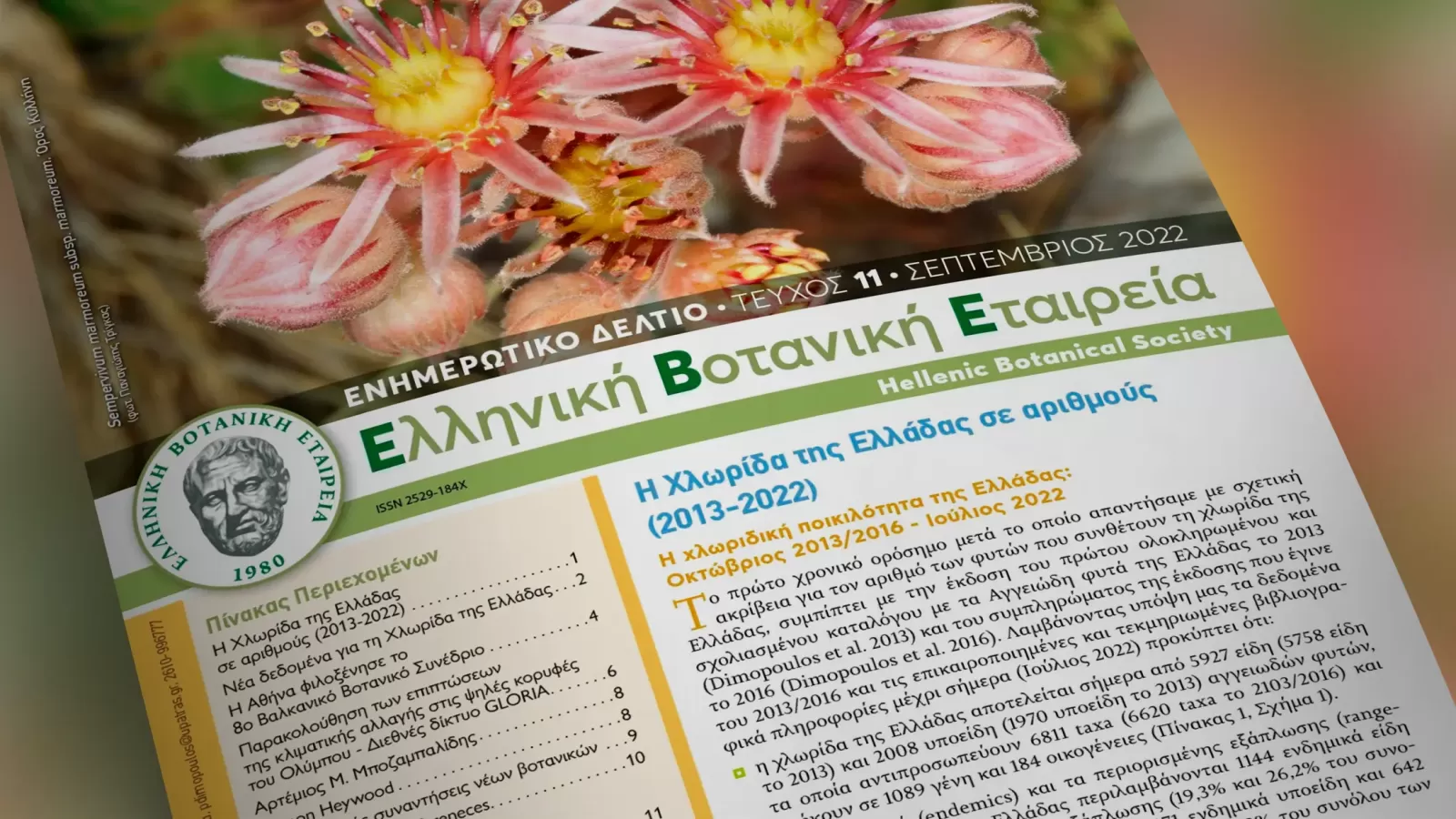 10ο τεύχος Ενημερωτικού Δελτίου της ΕΒΕ - HBS Newsletter 11/2022B