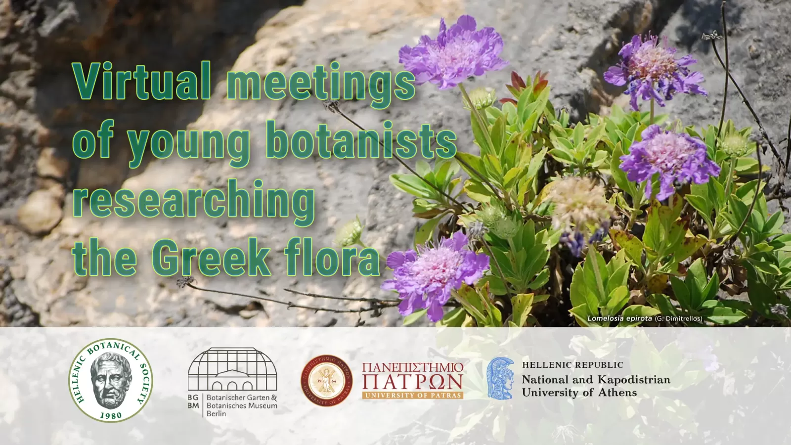 Virtual meetings of young botanists  researching the Greek flora