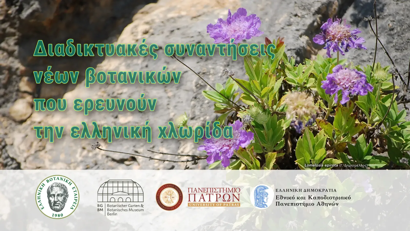 Διαδικτυακές συναντήσεις νέων βοτανικών  που ερευνούν την ελληνική χλωρίδα