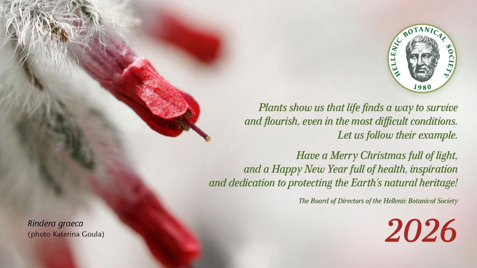 Christmas and New Year wishes