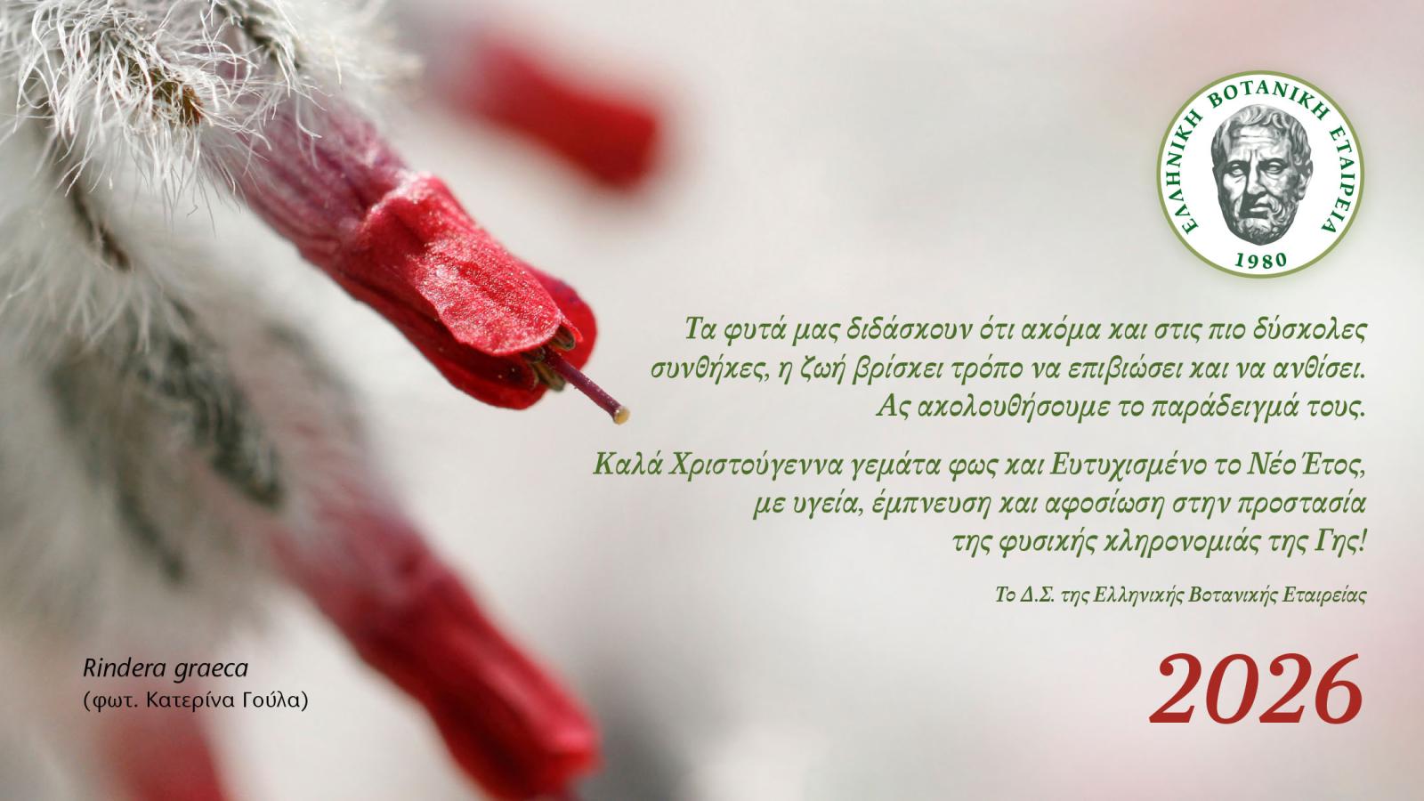 Ευχές Χριστουγέννων 2025